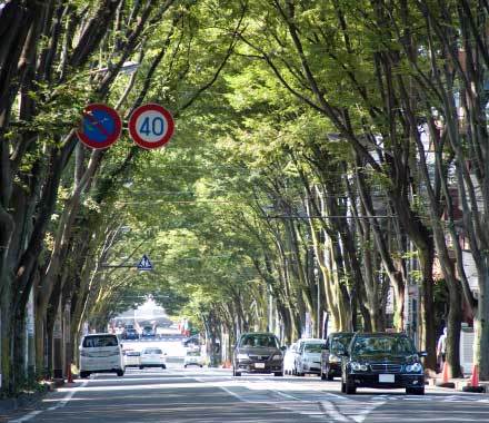 別荘地の時代から続く、洗練の品格。