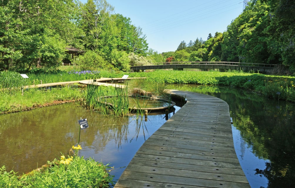 国立科学博物館筑波実験植物園