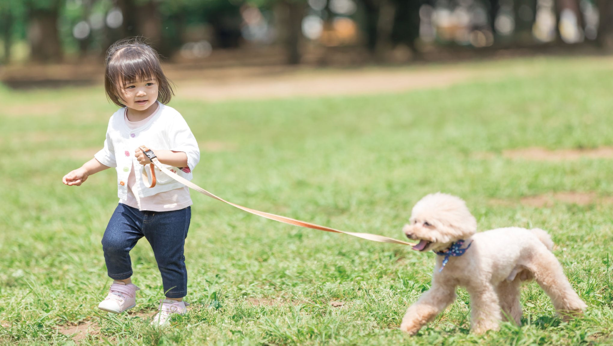 ペット飼育可 image photo