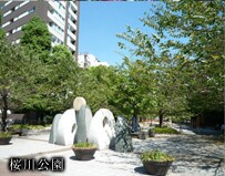 桜川公園