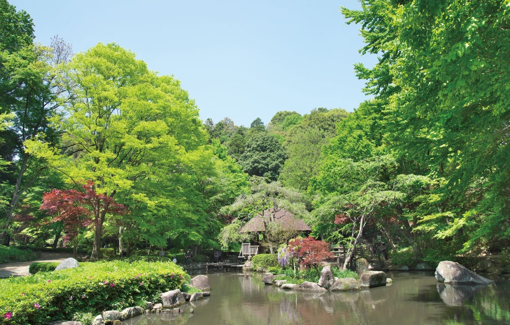 高根森林公園