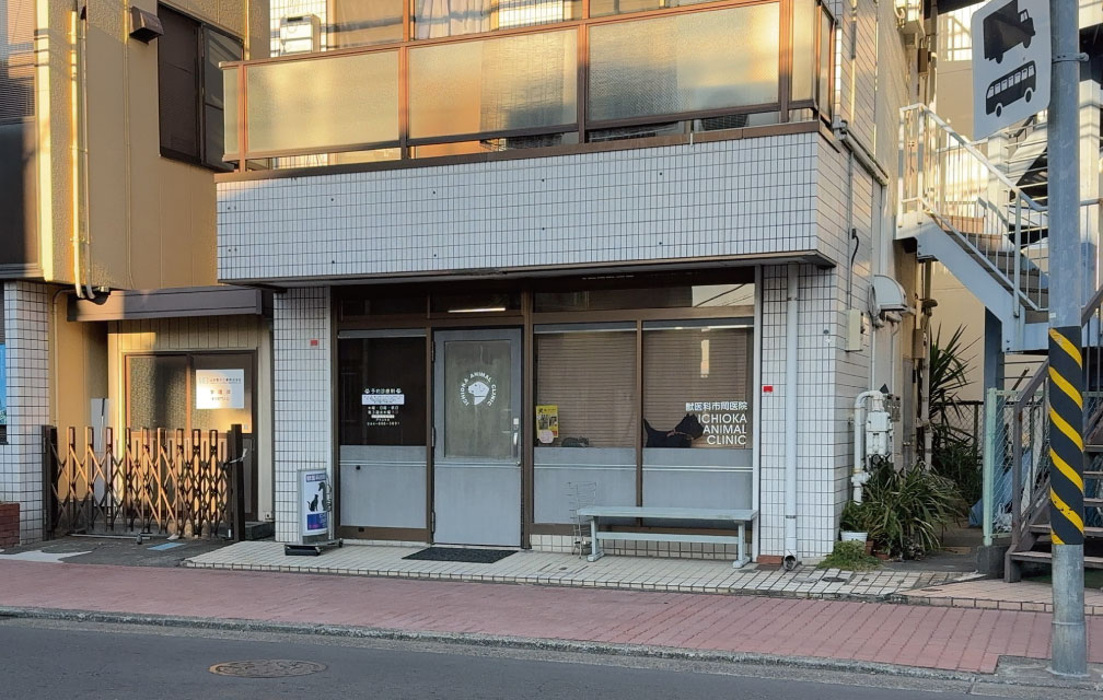 獣医科市岡医院