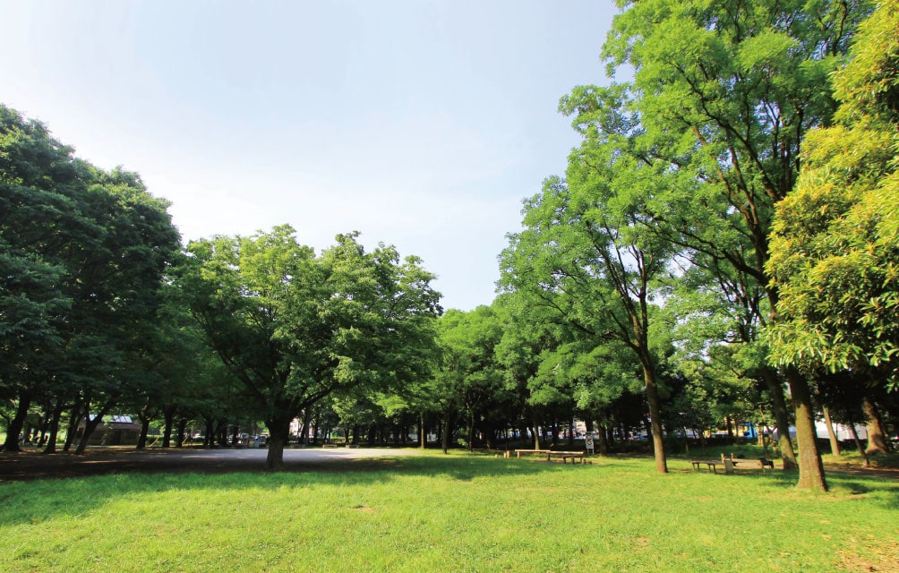 蘆花恒春園