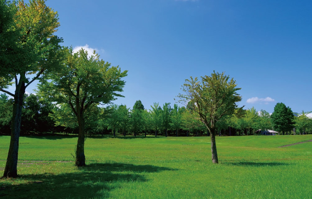 科学万博記念公園