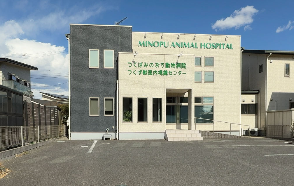 つくばみのぷう動物病院
