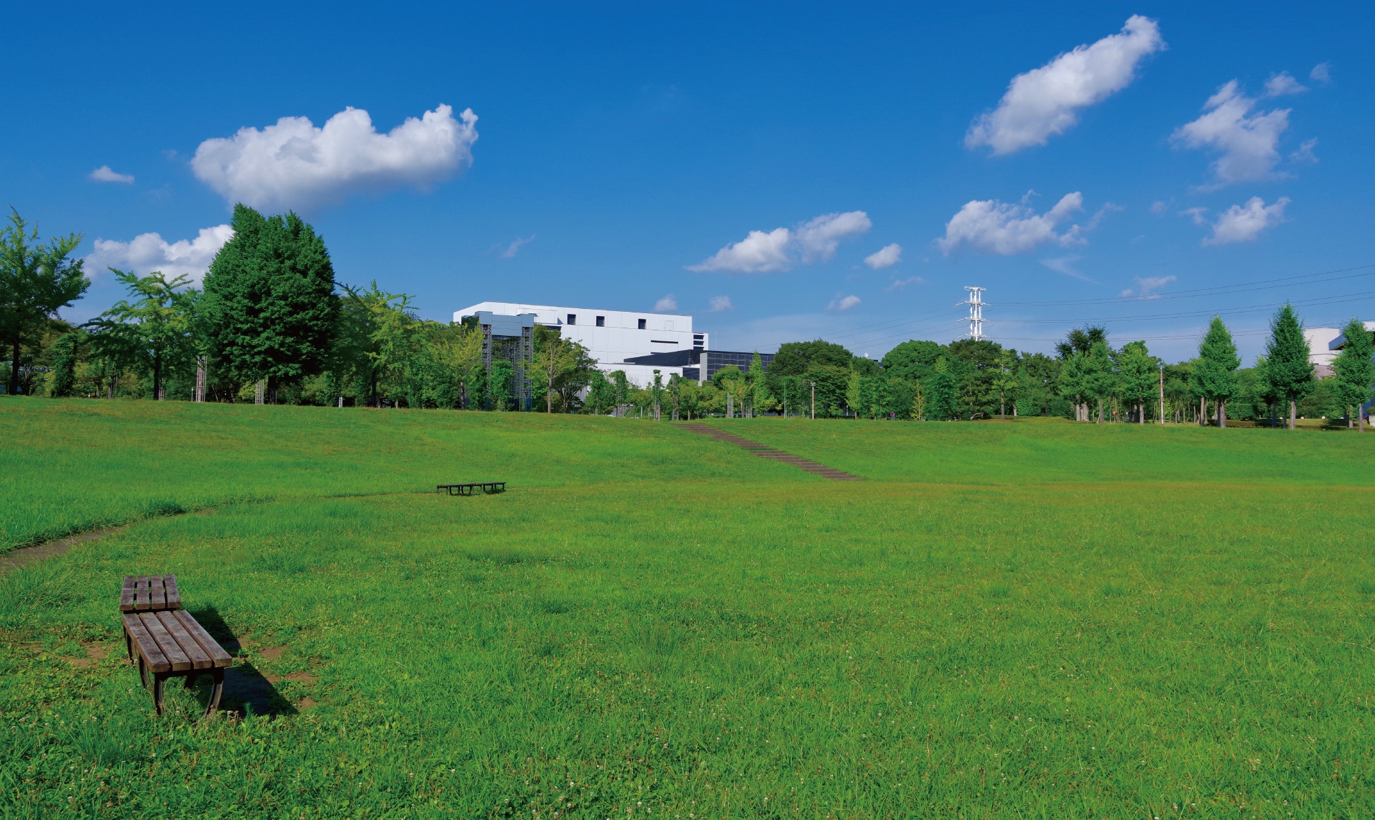 科学万博記念公園
