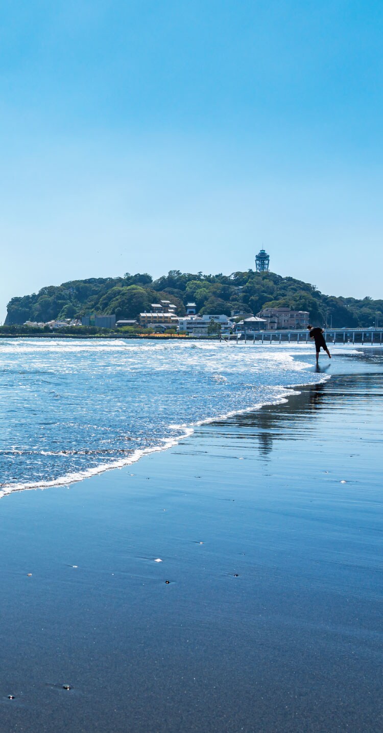 航空写真(2018年4月撮影)