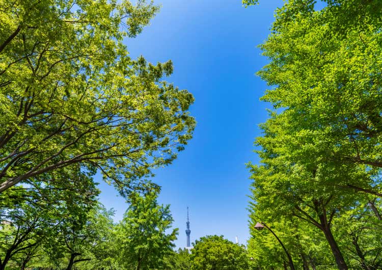 猿江恩賜公園