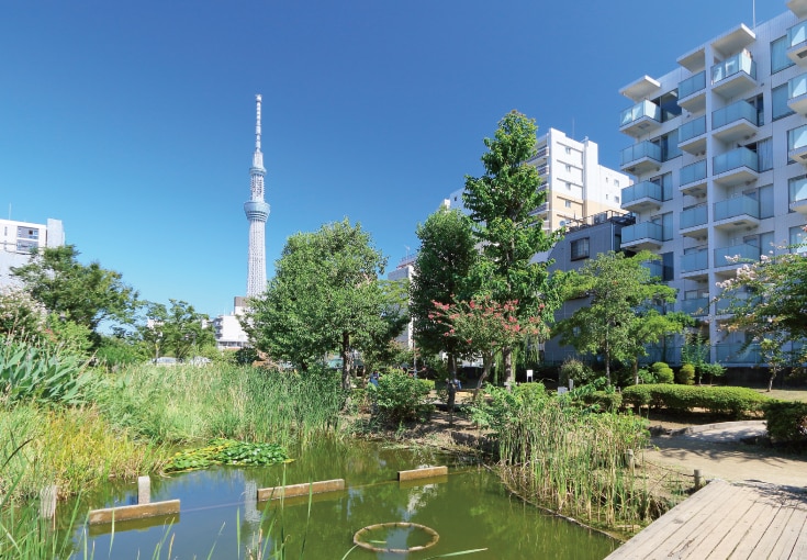 大横川親水公園