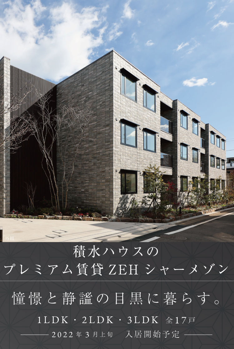 956 平茶碗 色絵琳派 7月 朝顔 平安 茶道 古物（Rockman Corner