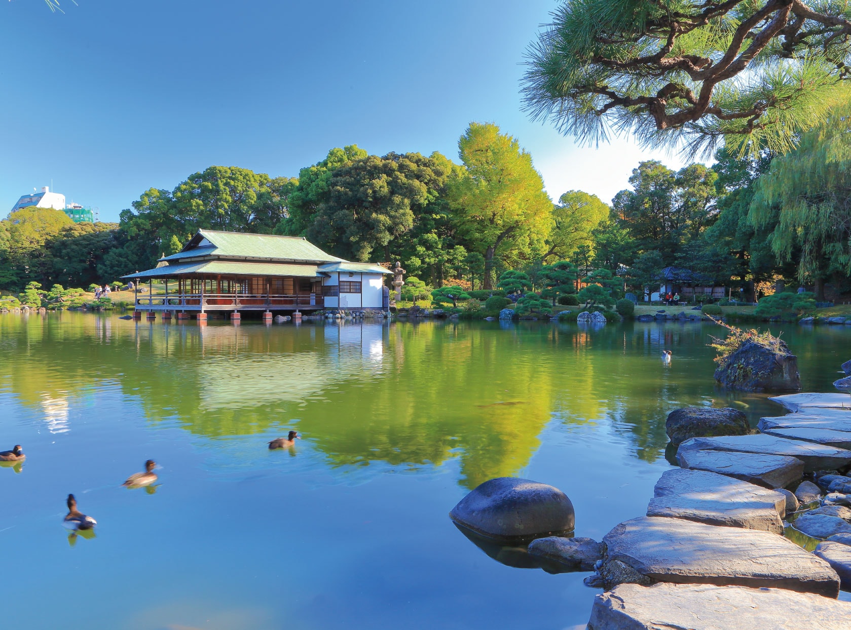 清澄庭園