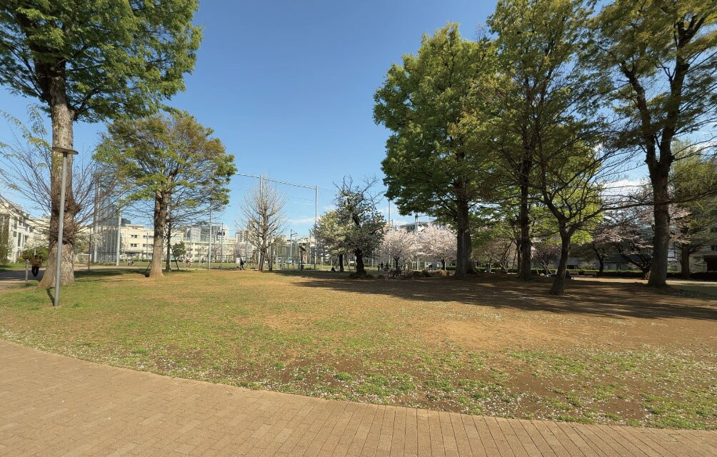中野区立本五ふれあい公園