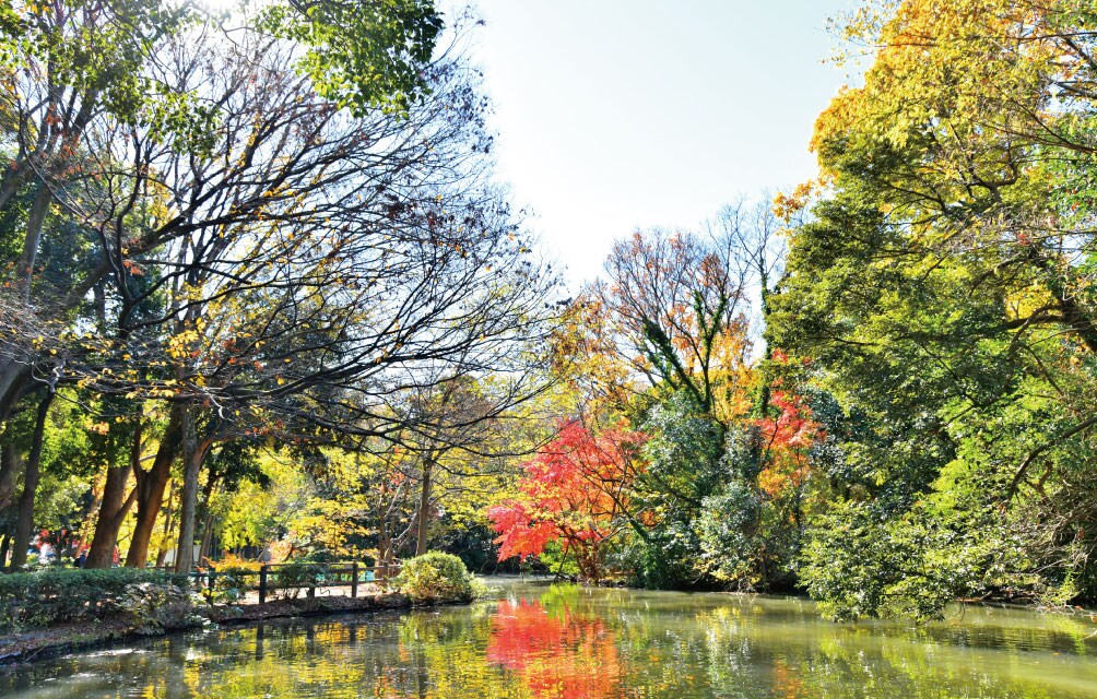 和田堀公園