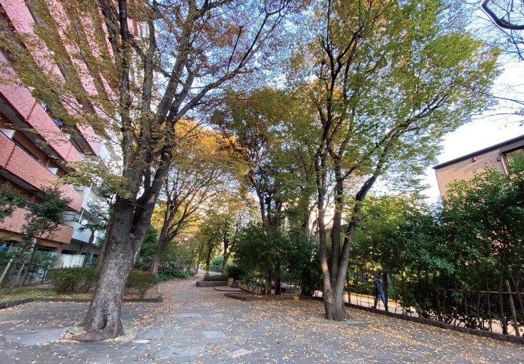 玉川上水旧水路緑道