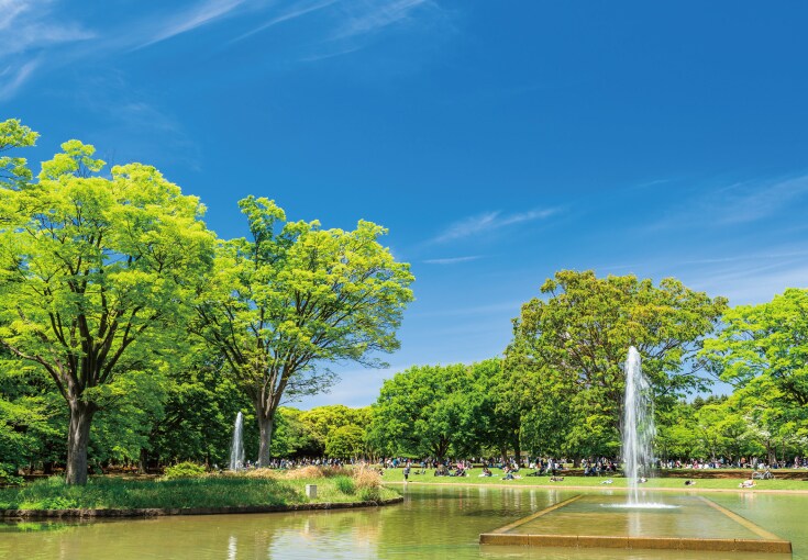 代々木公園