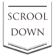 SCROLL DOWN ICON