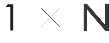 1×N