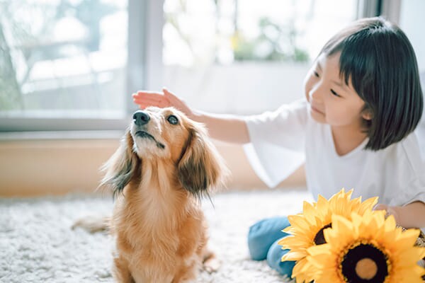 ペット相談可