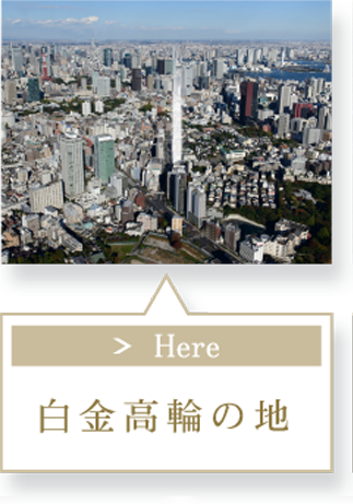 コンセプト