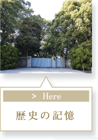 コンセプト