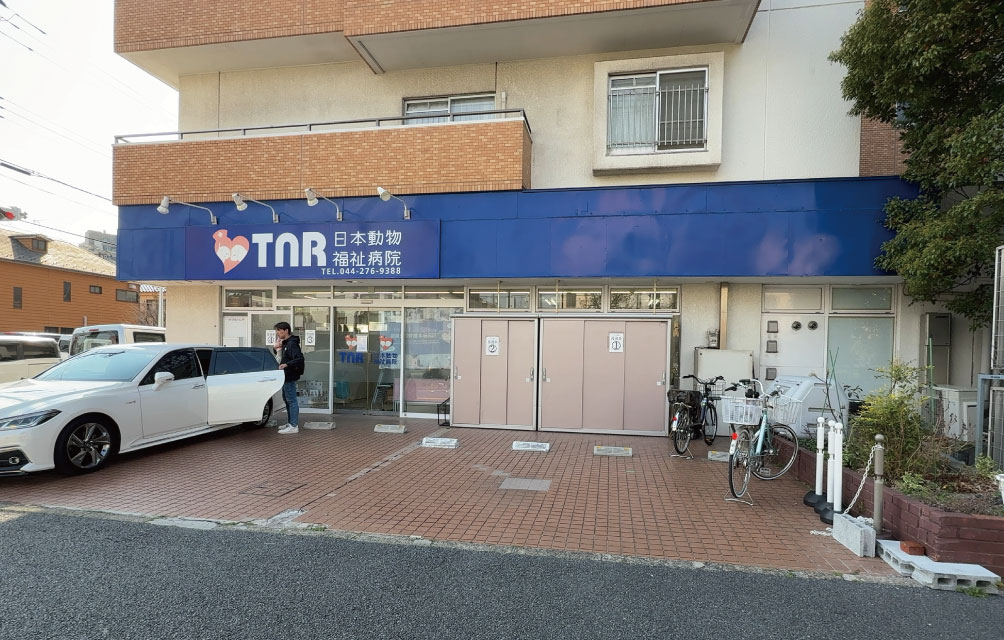 TNR日本動物福祉病院