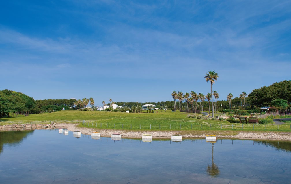 辻堂海浜公園