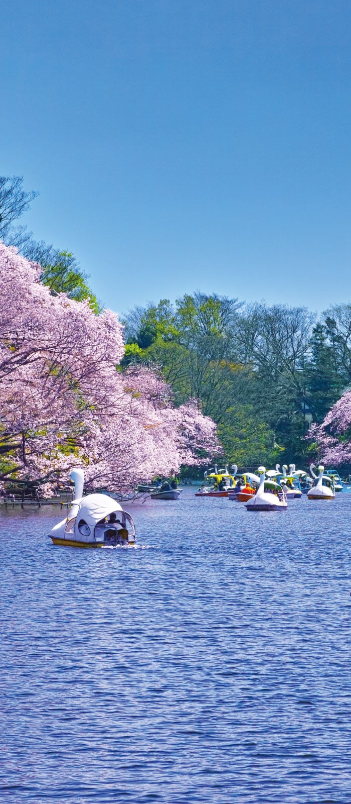 蘆花恒春園（徒歩4分・約300m）